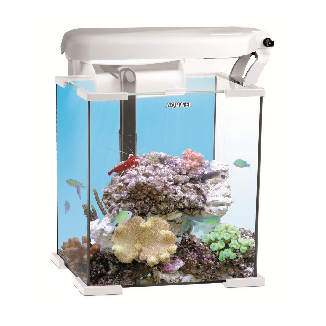 AQUAEL NANO REEF 30 LEDDY TUBE Аквариум морской рифовый 30л белый (2х6Вт leddy tube actinic/marine +фильтр FZN-3 +покрывное стекло)