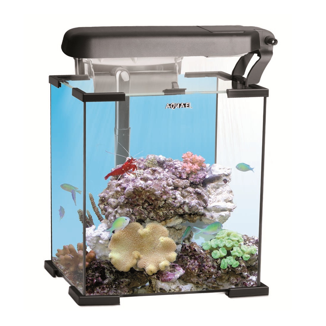 AQUAEL NANO REEF 30 LEDDY TUBE Аквариум морской рифовый 30л черный (2х6Вт leddy tube actinic/marine +фильтр FZN-3 +покрывное стекло)