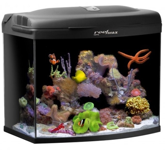 AQUAEL аквариум морской рифовый REEFMAX 80л освещение синий светодиод (3хT5 24W) таймер подсветки, система вентиляторов, пеноотделитель