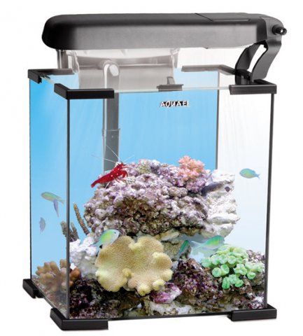 AQUAEL аквариум морской рифовый NANO REEF 20л черный, модуль Ecolight 2x11W Marine/Actinic фильтр FZN-1