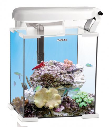 AQUAEL аквариум морской рифовый NANO REEF 20л белый, модуль Ecolight 2x11W Marine/Actinic фильтр FZN-1