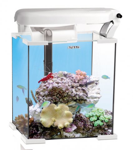 AQUAEL аквариум морской рифовый NANO REEF 30л белый, модуль Ecolight 2x11W Marine/Actinic фильтр FZN-1