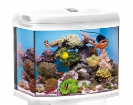 AQUAEL аквариум морской рифовый REEFMAX 80л белый освещение синий светодиод (3хT5 24W) таймер подсветки, система вентиляторов, пеноотделитель