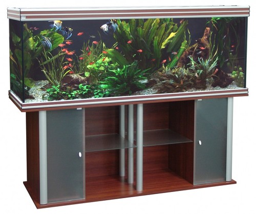 AQUATLANTIS EVASION 200x60х80 тумба, венге (031)