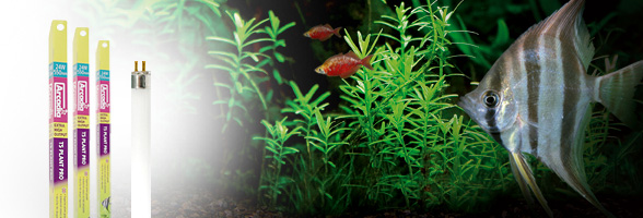 Arcadia Plant Pro 24W T5 43.8см* G5 D16мм лампа д/аквариума - Кликните на картинке чтобы закрыть