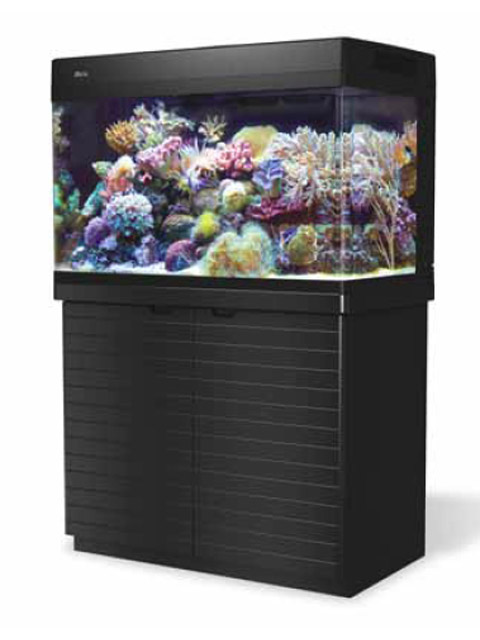 Red Sea MAX 250 аквариум морской с тумбой черный